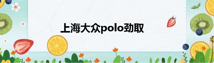 上海大众polo劲取