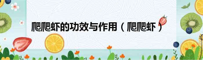 爬爬虾的功效与作用（爬爬虾）