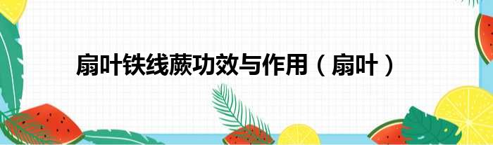 扇叶铁线蕨功效与作用（扇叶）