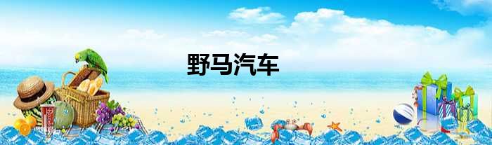 野马汽车