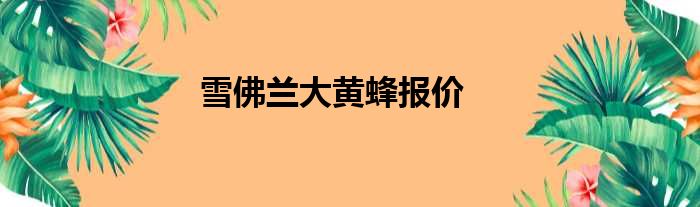 雪佛兰大黄蜂报价