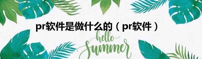 pr软件是做什么的（pr软件）