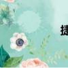 捷达200万辆纪念版