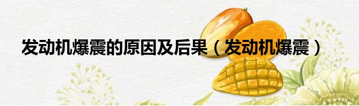发动机爆震的原因及后果（发动机爆震）