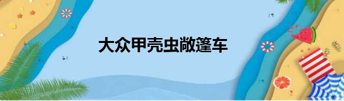 大众甲壳虫敞篷车