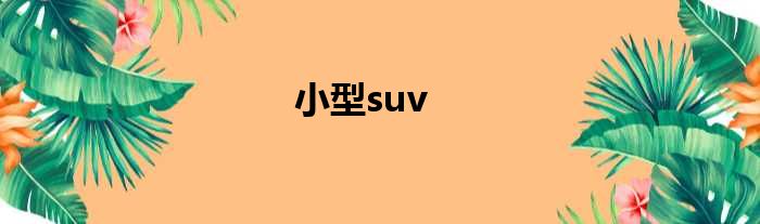 小型suv