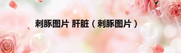 刺豚图片 肝脏（刺豚图片）