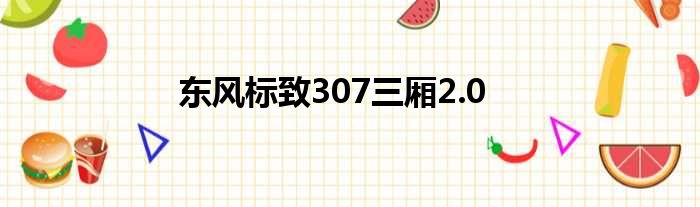 东风标致307三厢2.0