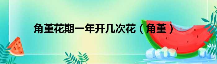 角堇花期一年开几次花（角堇）