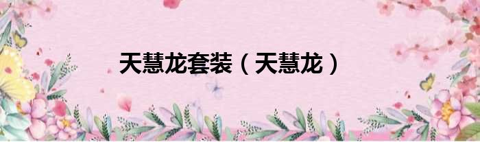 天慧龙套装（天慧龙）