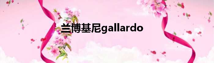 兰博基尼gallardo