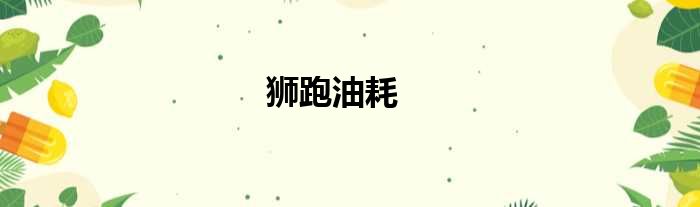 狮跑油耗