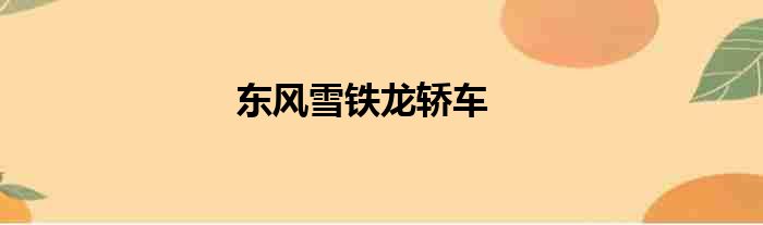 东风雪铁龙轿车