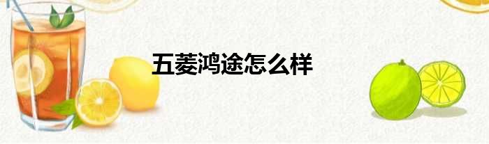 五菱鸿途怎么样