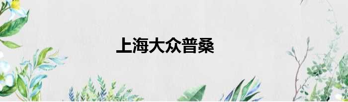 上海大众普桑