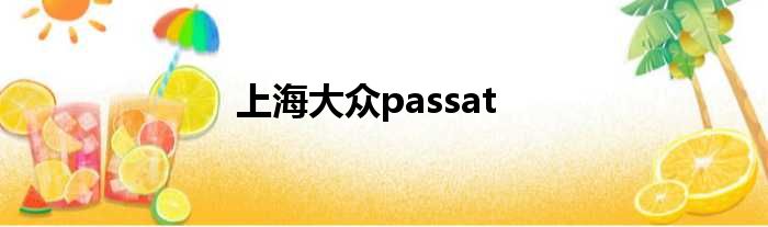 上海大众passat