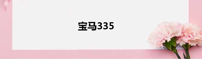 宝马335