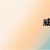 威志v5发动机怎么样