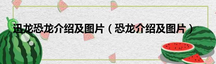 迅龙恐龙介绍及图片（恐龙介绍及图片）