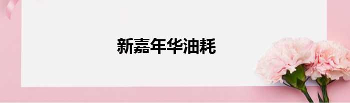 新嘉年华油耗