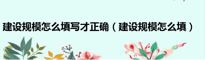 建设规模怎么填写才正确（建设规模怎么填）