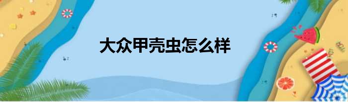 大众甲壳虫怎么样