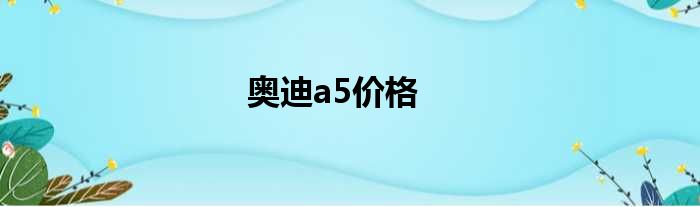 奥迪a5价格