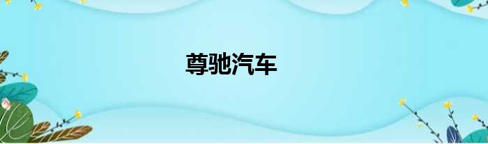 尊驰汽车