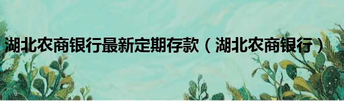 湖北农商银行最新定期存款（湖北农商银行）