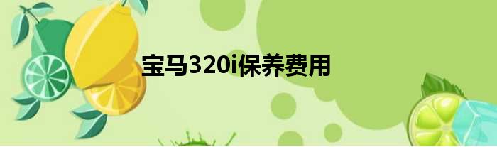 宝马320i保养费用