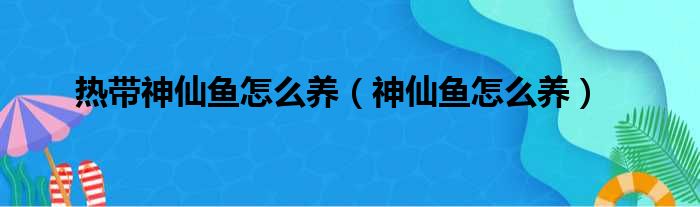 热带神仙鱼怎么养（神仙鱼怎么养）