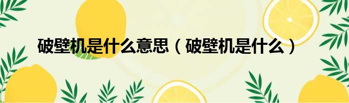 破壁机是什么意思（破壁机是什么）