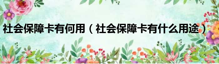 社会保障卡有何用（社会保障卡有什么用途）