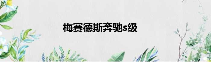 梅赛德斯奔驰s级