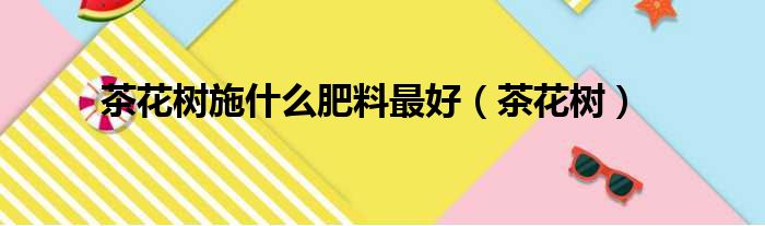 茶花树施什么肥料最好（茶花树）