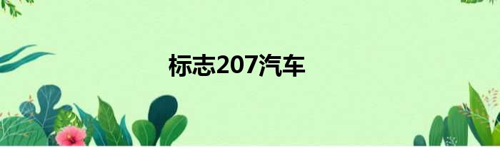 标志207汽车