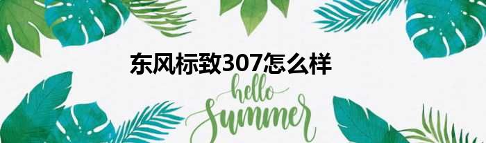 东风标致307怎么样
