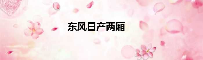 东风日产两厢