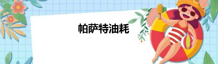 帕萨特油耗