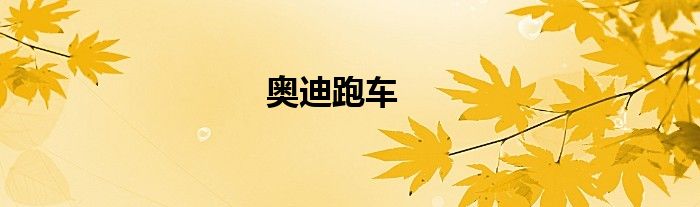 奥迪跑车