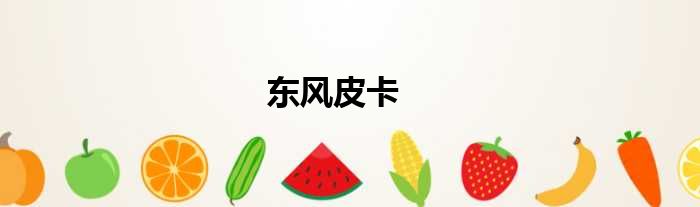 东风皮卡