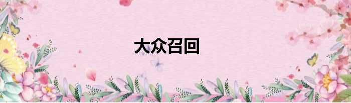 大众召回