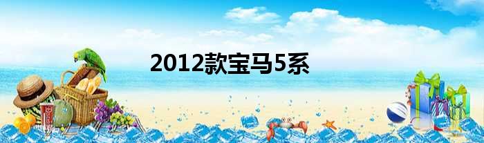 2012款宝马5系