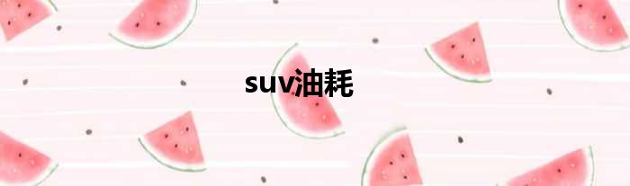 suv油耗