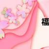 福特福克斯两厢2011