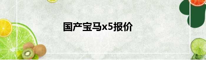 国产宝马x5报价