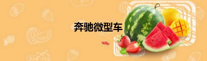 奔驰微型车