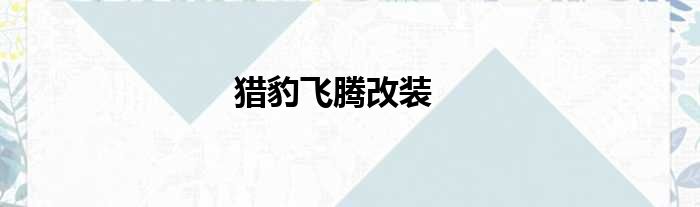 猎豹飞腾改装