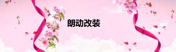 朗动改装