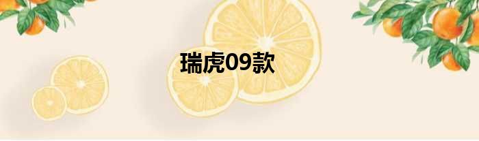 瑞虎09款